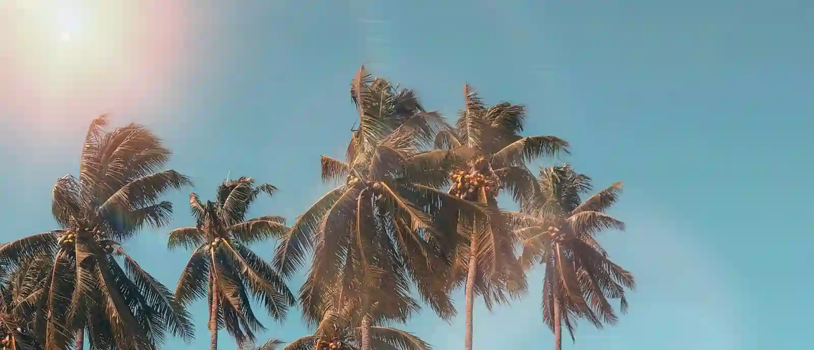 Sunshine view beach front