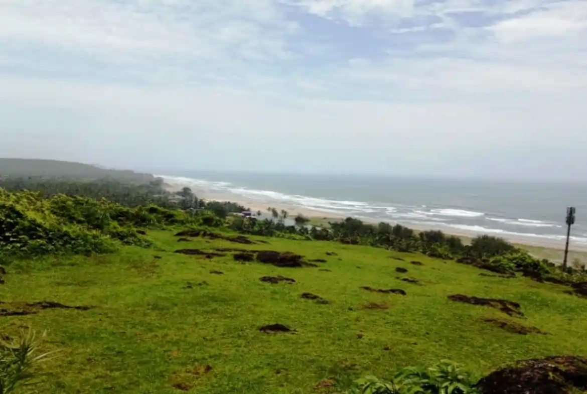 Raw land in Goa