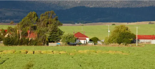 Large Residential Plot