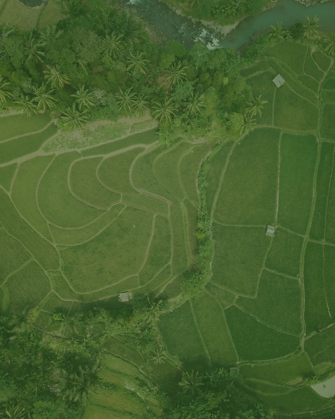 Large Residential Plot in Sangolda, North Goa