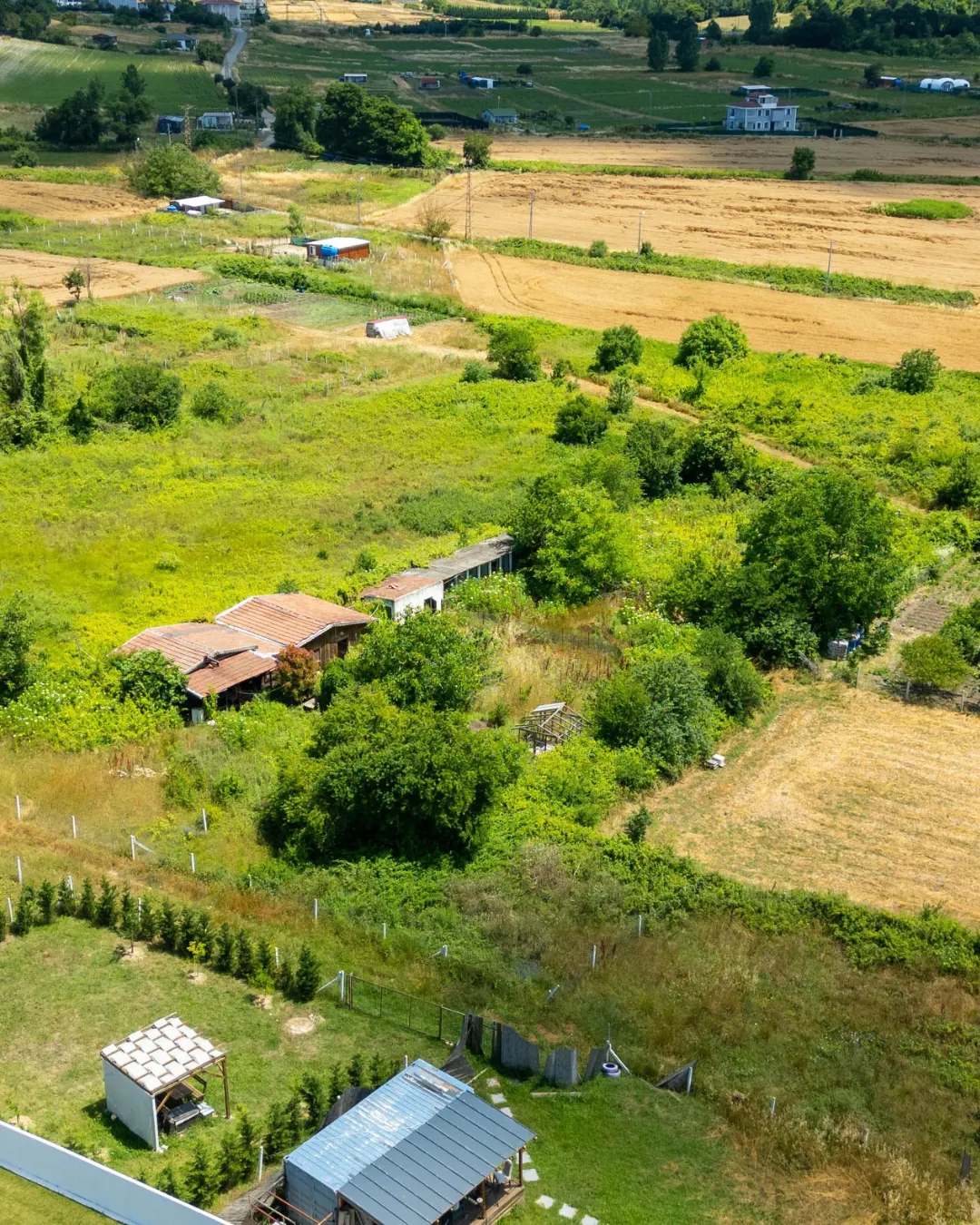 Premium Plot in Arpora, North Goa