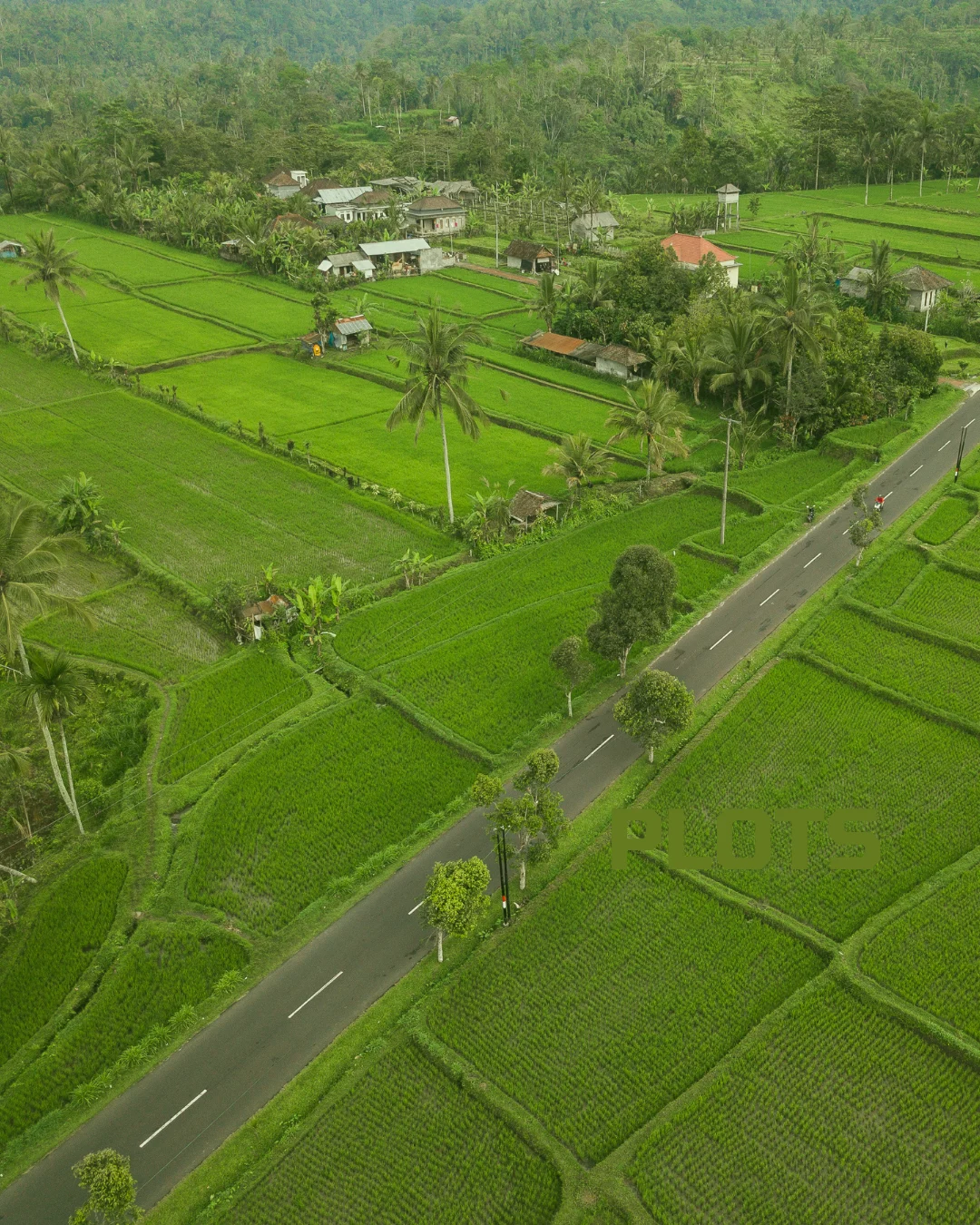 Premium Residential Plot in Pilerne, North Goa